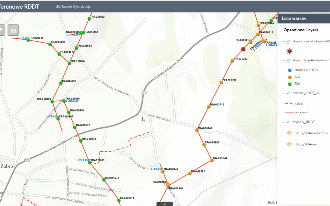 Integrating Custom Mobile Apps for Field Data Collections of Electrical Utility Network (Tauron Dystrybucja SA)