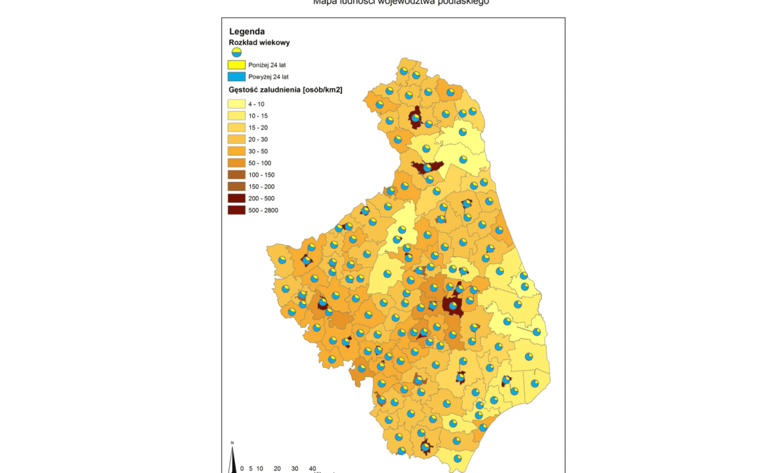 Mapping Telecom Broadband Network Coverage Using Geospatial Analysis (Podlaskie Region, Poland)